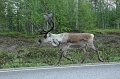 DSC_0082 1_out